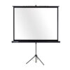 Ecran de proiectie cu tripod Legamaster, 180 x 240 cm