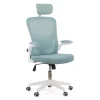 Scaun de birou ergonomic cu spatar inalt si cotiere rabatabile OFF 336 bleu Scaun de birou ergonomic cu spatar inalt si cotiere rabatabile OFF 336 bleu
